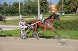 Dateiname=20250810_ja_078_IMG_0134.jpg
Dateigröße=662KB
Abmessungen: 1000x667
hinzugefügt am: 16. August 2025 20250810_ja_078_IMG_0134.jpg