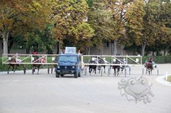 Dateiname=20250810_ja_086_IMG_0027.jpg
Dateigröße=821KB
Abmessungen: 1000x667
hinzugefügt am: 16. August 2025 20250810_ja_086_IMG_0027.jpg