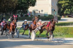 Dateiname=20250810_ja_090_IMG_0005.jpg
Dateigröße=742KB
Abmessungen: 1000x667
hinzugefügt am: 16. August 2025 20250810_ja_090_IMG_0005.jpg