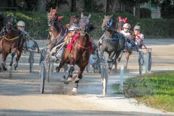 Dateiname=20250810_ja_097_IMG_0027.jpg
Dateigröße=765KB
Abmessungen: 1000x667
hinzugefügt am: 16. August 2025 20250810_ja_097_IMG_0027.jpg