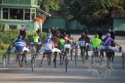 Dateiname=20250810_ja_103_IMG_0027.jpg
Dateigröße=698KB
Abmessungen: 1000x667
hinzugefügt am: 16. August 2025 20250810_ja_103_IMG_0027.jpg