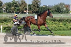 Dateiname=20250810_qu3_015_QU3_0023.jpg
Dateigröße=357KB
Abmessungen: 1000x667
hinzugefügt am: 16. August 2025 20250810_qu3_015_QU3_0023.jpg