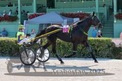 Dateiname=20250810_r01_020_R01_0040.jpg
Dateigröße=368KB
Abmessungen: 1000x667
hinzugefügt am: 16. August 2025 20250810_r01_020_R01_0040.jpg