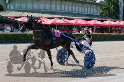 Dateiname=20250810_r01_043_R01_0080.jpg
Dateigröße=343KB
Abmessungen: 1000x667
hinzugefügt am: 16. August 2025 20250810_r01_043_R01_0080.jpg