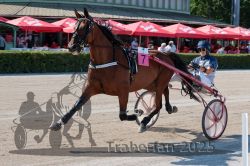 Dateiname=20250810_r01_051_R01_0091.jpg
Dateigröße=340KB
Abmessungen: 1000x667
hinzugefügt am: 16. August 2025 20250810_r01_051_R01_0091.jpg