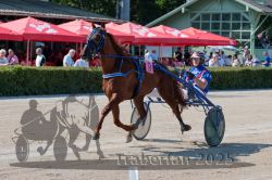 Dateiname=20250810_r01_052_R01_0093.jpg
Dateigröße=347KB
Abmessungen: 1000x667
hinzugefügt am: 16. August 2025 20250810_r01_052_R01_0093.jpg