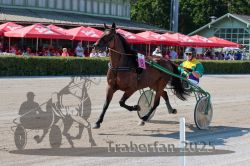 Dateiname=20250810_r01_059_R01_0106.jpg
Dateigröße=370KB
Abmessungen: 1000x667
hinzugefügt am: 16. August 2025 20250810_r01_059_R01_0106.jpg