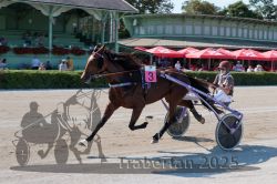 Dateiname=20250810_r01_070_R01_0126.jpg
Dateigröße=328KB
Abmessungen: 1000x667
hinzugefügt am: 16. August 2025 20250810_r01_070_R01_0126.jpg