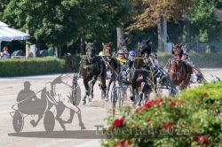 Dateiname=20250810_r01_072_R01_0129.jpg
Dateigröße=362KB
Abmessungen: 1000x667
hinzugefügt am: 16. August 2025 20250810_r01_072_R01_0129.jpg