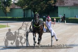 Dateiname=20250810_r01_133_R01_0228.jpg
Dateigröße=313KB
Abmessungen: 1000x667
hinzugefügt am: 16. August 2025 20250810_r01_133_R01_0228.jpg