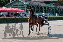 Dateiname=20250810_r02_001_R02_0001.jpg
Dateigröße=392KB
Abmessungen: 1000x667
hinzugefügt am: 16. August 2025 20250810_r02_001_R02_0001.jpg