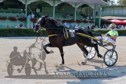 Dateiname=20250810_r02_046_R02_0060.jpg
Dateigröße=320KB
Abmessungen: 1000x667
hinzugefügt am: 16. August 2025 20250810_r02_046_R02_0060.jpg