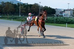 Dateiname=20250810_r04_024_R04_0047.jpg
Dateigröße=318KB
Abmessungen: 1000x667
hinzugefügt am: 16. August 2025 20250810_r04_024_R04_0047.jpg