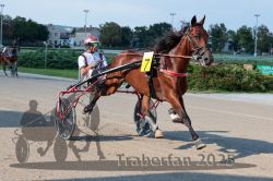 Dateiname=20250810_r04_026_R04_0050.jpg
Dateigröße=327KB
Abmessungen: 1000x667
hinzugefügt am: 16. August 2025 20250810_r04_026_R04_0050.jpg