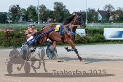 Dateiname=20250810_r04_027_R04_0053.jpg
Dateigröße=326KB
Abmessungen: 1000x667
hinzugefügt am: 16. August 2025 20250810_r04_027_R04_0053.jpg