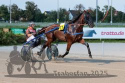 Dateiname=20250810_r04_028_R04_0054.jpg
Dateigröße=318KB
Abmessungen: 1000x667
hinzugefügt am: 16. August 2025 20250810_r04_028_R04_0054.jpg