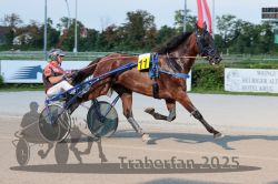 Dateiname=20250810_r04_029_R04_0056.jpg
Dateigröße=300KB
Abmessungen: 1000x667
hinzugefügt am: 16. August 2025 20250810_r04_029_R04_0056.jpg