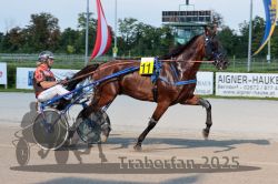 Dateiname=20250810_r04_030_R04_0057.jpg
Dateigröße=315KB
Abmessungen: 1000x667
hinzugefügt am: 16. August 2025 20250810_r04_030_R04_0057.jpg