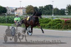 Dateiname=20250810_r04_032_R04_0061.jpg
Dateigröße=285KB
Abmessungen: 1000x667
hinzugefügt am: 16. August 2025 20250810_r04_032_R04_0061.jpg