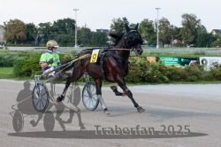 Dateiname=20250810_r04_033_R04_0063.jpg
Dateigröße=304KB
Abmessungen: 1000x667
hinzugefügt am: 16. August 2025 20250810_r04_033_R04_0063.jpg