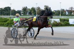 Dateiname=20250810_r04_034_R04_0064.jpg
Dateigröße=294KB
Abmessungen: 1000x667
hinzugefügt am: 16. August 2025 20250810_r04_034_R04_0064.jpg