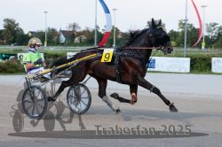 Dateiname=20250810_r04_035_R04_0066.jpg
Dateigröße=273KB
Abmessungen: 1000x667
hinzugefügt am: 16. August 2025 20250810_r04_035_R04_0066.jpg