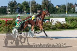 Dateiname=20250810_r04_037_R04_0070.jpg
Dateigröße=357KB
Abmessungen: 1000x667
hinzugefügt am: 16. August 2025 20250810_r04_037_R04_0070.jpg