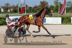 Dateiname=20250810_r04_041_R04_0077.jpg
Dateigröße=339KB
Abmessungen: 1000x667
hinzugefügt am: 16. August 2025 20250810_r04_041_R04_0077.jpg