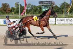 Dateiname=20250810_r04_042_R04_0079.jpg
Dateigröße=334KB
Abmessungen: 1000x667
hinzugefügt am: 16. August 2025 20250810_r04_042_R04_0079.jpg