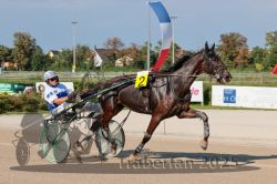 Dateiname=20250810_r04_046_R04_0085.jpg
Dateigröße=295KB
Abmessungen: 1000x667
hinzugefügt am: 16. August 2025 20250810_r04_046_R04_0085.jpg