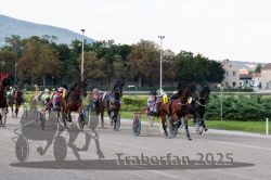 Dateiname=20250810_r04_051_R04_0095.jpg
Dateigröße=295KB
Abmessungen: 1000x667
hinzugefügt am: 16. August 2025 20250810_r04_051_R04_0095.jpg