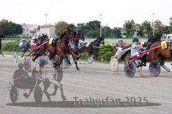 Dateiname=20250810_r04_055_R04_0102.jpg
Dateigröße=328KB
Abmessungen: 1000x667
hinzugefügt am: 16. August 2025 20250810_r04_055_R04_0102.jpg