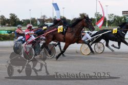 Dateiname=20250810_r04_057_R04_0104.jpg
Dateigröße=284KB
Abmessungen: 1000x667
hinzugefügt am: 16. August 2025 20250810_r04_057_R04_0104.jpg