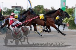 Dateiname=20250810_r04_058_R04_0106.jpg
Dateigröße=296KB
Abmessungen: 1000x667
hinzugefügt am: 16. August 2025 20250810_r04_058_R04_0106.jpg