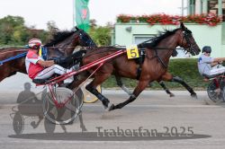 Dateiname=20250810_r04_059_R04_0107.jpg
Dateigröße=298KB
Abmessungen: 1000x667
hinzugefügt am: 16. August 2025 20250810_r04_059_R04_0107.jpg