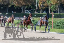 Dateiname=20250810_r04_061_R04_0111.jpg
Dateigröße=384KB
Abmessungen: 1000x667
hinzugefügt am: 16. August 2025 20250810_r04_061_R04_0111.jpg