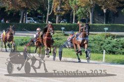 Dateiname=20250810_r04_062_R04_0113.jpg
Dateigröße=376KB
Abmessungen: 1000x667
hinzugefügt am: 16. August 2025 20250810_r04_062_R04_0113.jpg