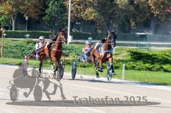 Dateiname=20250810_r04_063_R04_0114.jpg
Dateigröße=425KB
Abmessungen: 1000x667
hinzugefügt am: 16. August 2025 20250810_r04_063_R04_0114.jpg