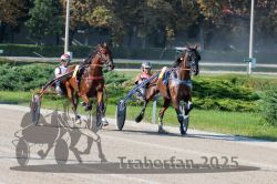 Dateiname=20250810_r04_064_R04_0116.jpg
Dateigröße=386KB
Abmessungen: 1000x667
hinzugefügt am: 16. August 2025 20250810_r04_064_R04_0116.jpg