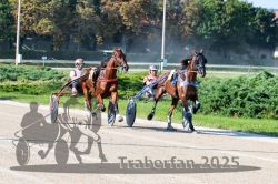 Dateiname=20250810_r04_066_R04_0119.jpg
Dateigröße=418KB
Abmessungen: 1000x667
hinzugefügt am: 16. August 2025 20250810_r04_066_R04_0119.jpg