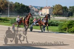 Dateiname=20250810_r04_068_R04_0121.jpg
Dateigröße=380KB
Abmessungen: 1000x667
hinzugefügt am: 16. August 2025 20250810_r04_068_R04_0121.jpg