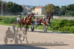 Dateiname=20250810_r04_069_R04_0122.jpg
Dateigröße=388KB
Abmessungen: 1000x667
hinzugefügt am: 16. August 2025 20250810_r04_069_R04_0122.jpg