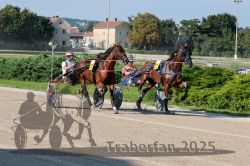 Dateiname=20250810_r04_070_R04_0123.jpg
Dateigröße=396KB
Abmessungen: 1000x667
hinzugefügt am: 16. August 2025 20250810_r04_070_R04_0123.jpg