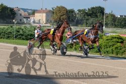 Dateiname=20250810_r04_071_R04_0124.jpg
Dateigröße=386KB
Abmessungen: 1000x667
hinzugefügt am: 16. August 2025 20250810_r04_071_R04_0124.jpg