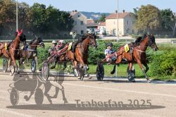 Dateiname=20250810_r04_073_R04_0127.jpg
Dateigröße=408KB
Abmessungen: 1000x667
hinzugefügt am: 16. August 2025 20250810_r04_073_R04_0127.jpg