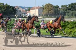 Dateiname=20250810_r04_074_R04_0128.jpg
Dateigröße=378KB
Abmessungen: 1000x667
hinzugefügt am: 16. August 2025 20250810_r04_074_R04_0128.jpg