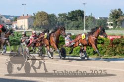 Dateiname=20250810_r04_075_R04_0130.jpg
Dateigröße=367KB
Abmessungen: 1000x667
hinzugefügt am: 16. August 2025 20250810_r04_075_R04_0130.jpg