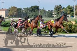 Dateiname=20250810_r04_076_R04_0131.jpg
Dateigröße=388KB
Abmessungen: 1000x667
hinzugefügt am: 16. August 2025 20250810_r04_076_R04_0131.jpg