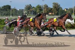 Dateiname=20250810_r04_077_R04_0133.jpg
Dateigröße=373KB
Abmessungen: 1000x667
hinzugefügt am: 16. August 2025 20250810_r04_077_R04_0133.jpg