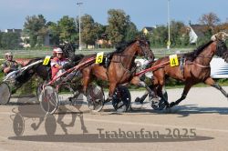 Dateiname=20250810_r04_078_R04_0134.jpg
Dateigröße=355KB
Abmessungen: 1000x667
hinzugefügt am: 16. August 2025 20250810_r04_078_R04_0134.jpg